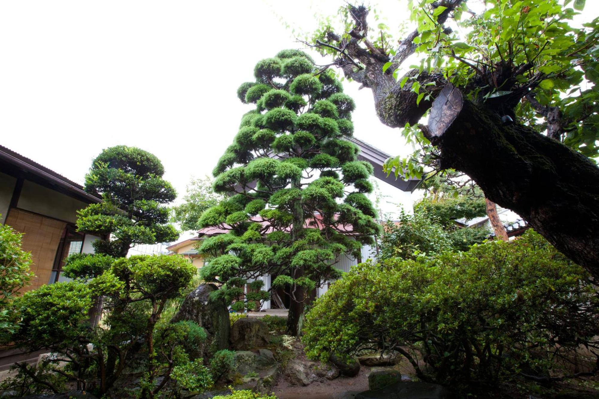 Kura 旅馆